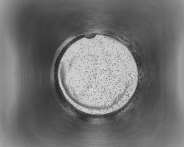 X0000110860200200907091347