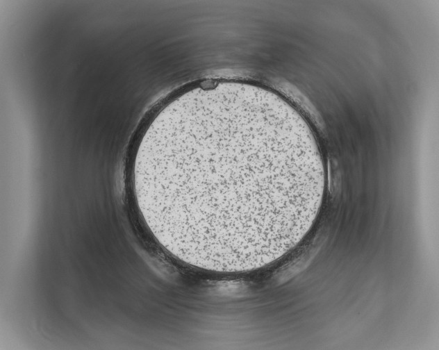 X0000110860204200907091347