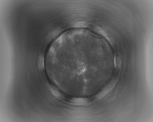 X0000110860205200907091347