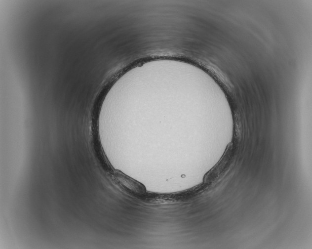 X0000110860207200907091347