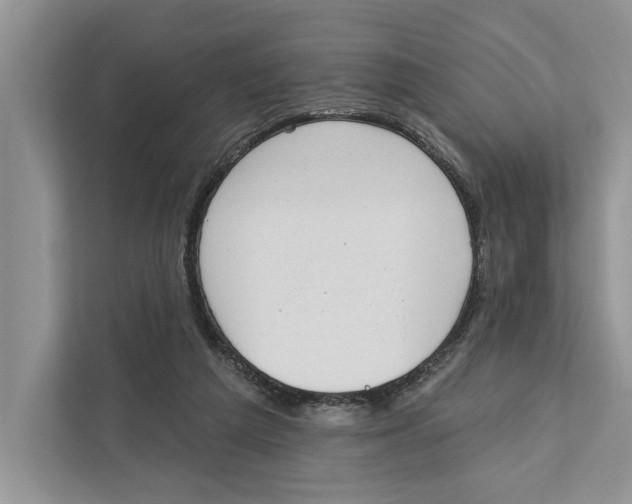 X0000110860209200907091347