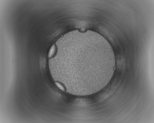 X0000110860211200907091347