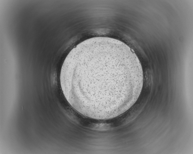 X0000110860212200907091347