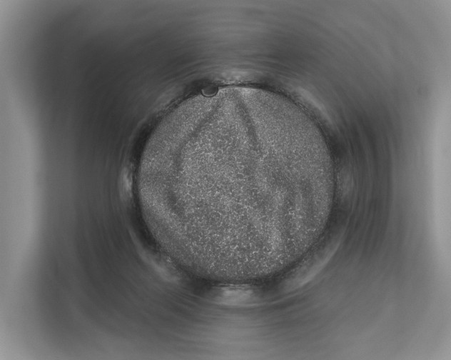 X0000110860214200907091347