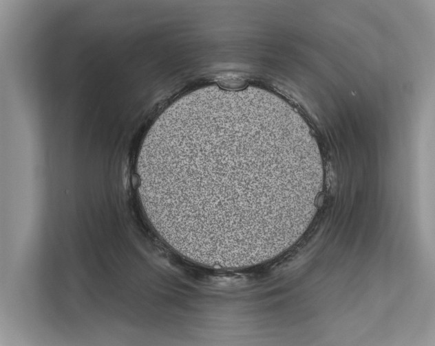 X0000110860215200907091347