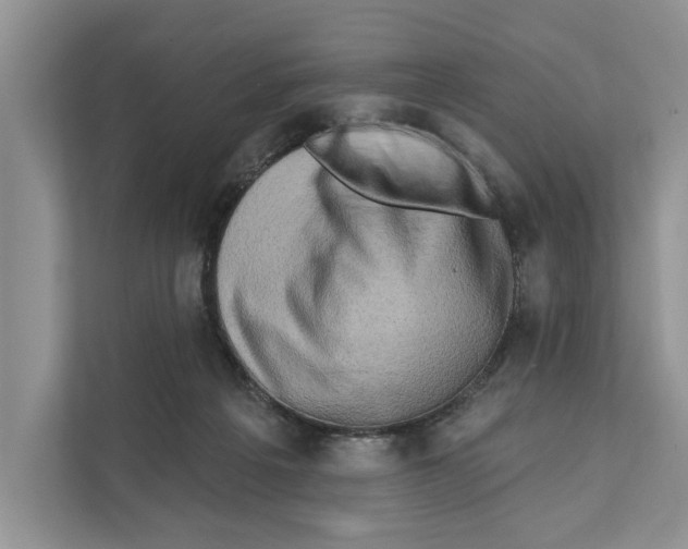X0000110860217200907091347