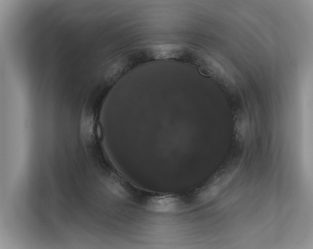 X0000110860219200907091347