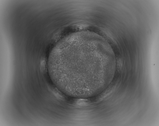 X0000110860222200907091347