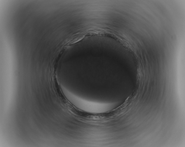 X0000110860223200907091347