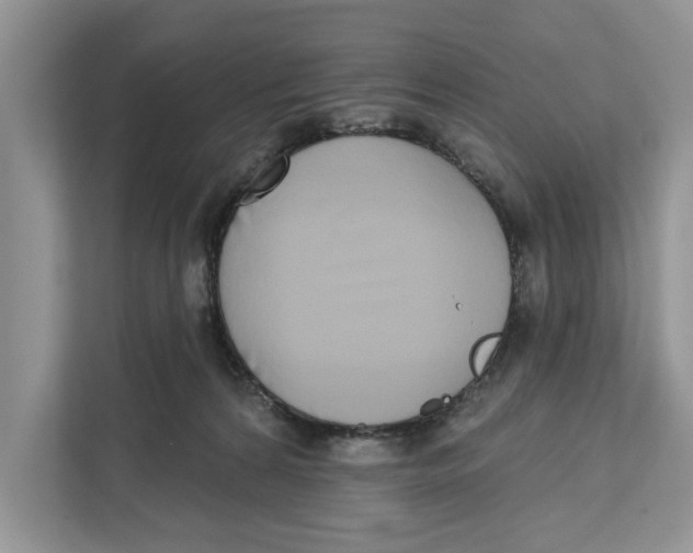 X0000110860224200907091347