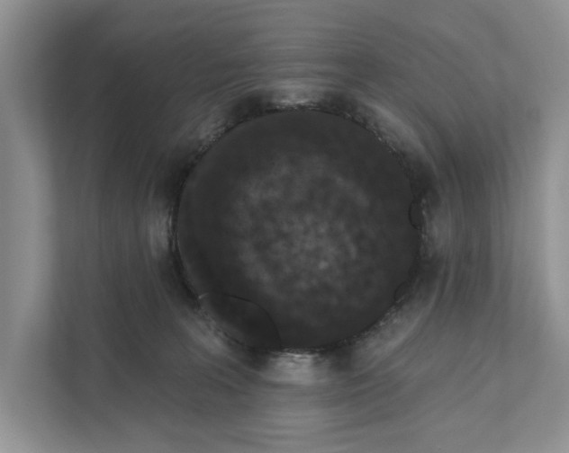 X0000110860227200907091347