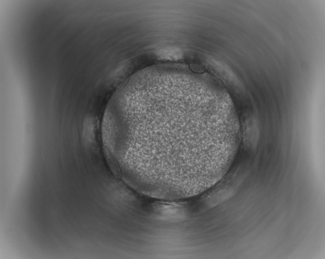 X0000110860229200907091347