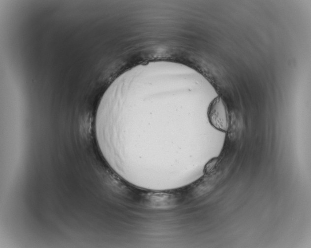 X0000110860230200907091347