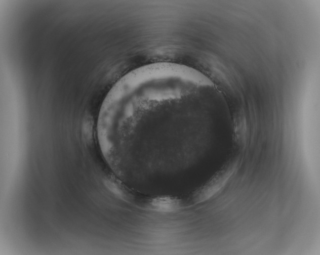 X0000110860231200907091346