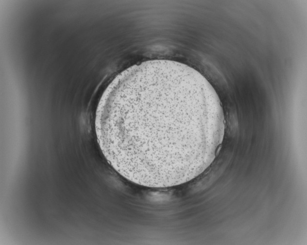 X0000110860232200907091346