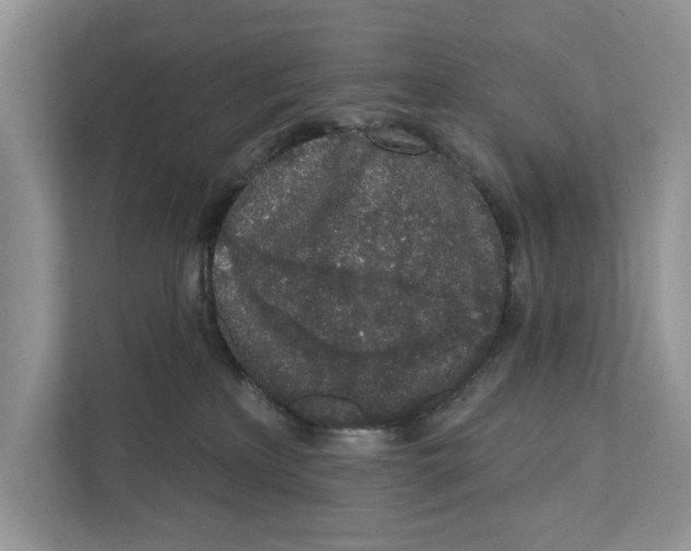 X0000110860233200907091346