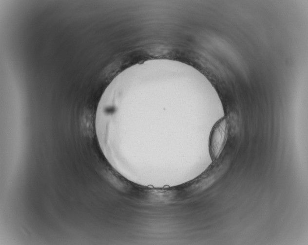 X0000110860234200907091346