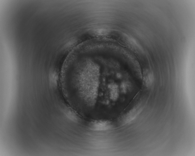 X0000110860235200907091346