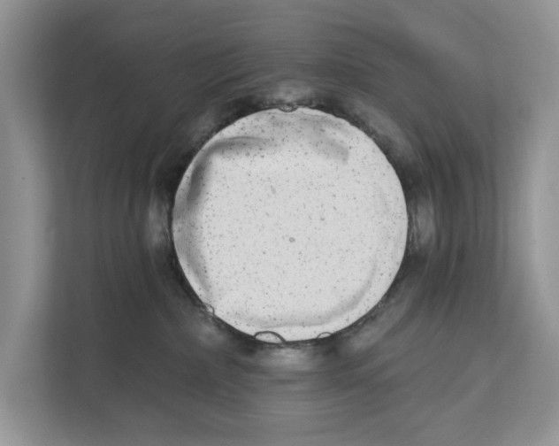 X0000110860236200907091346