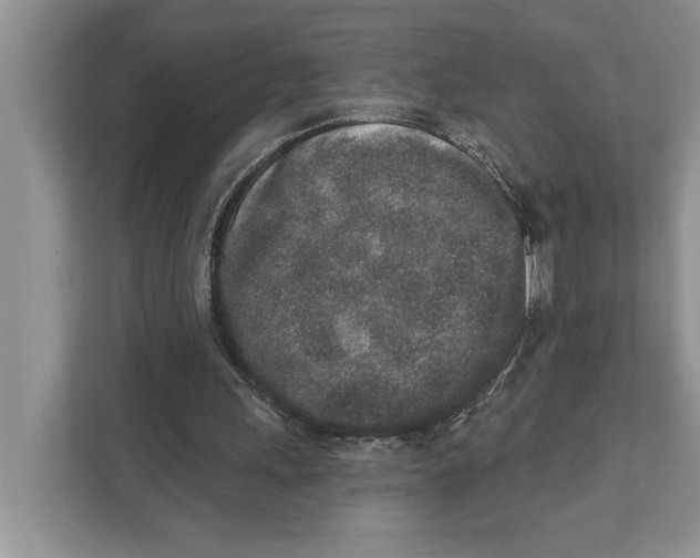 X0000110860243200907091346