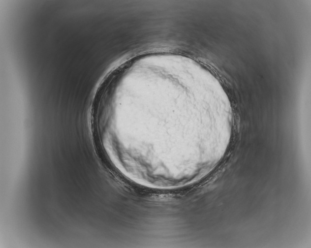 X0000110860244200907091346
