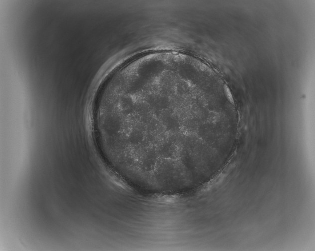 X0000110860247200907091346
