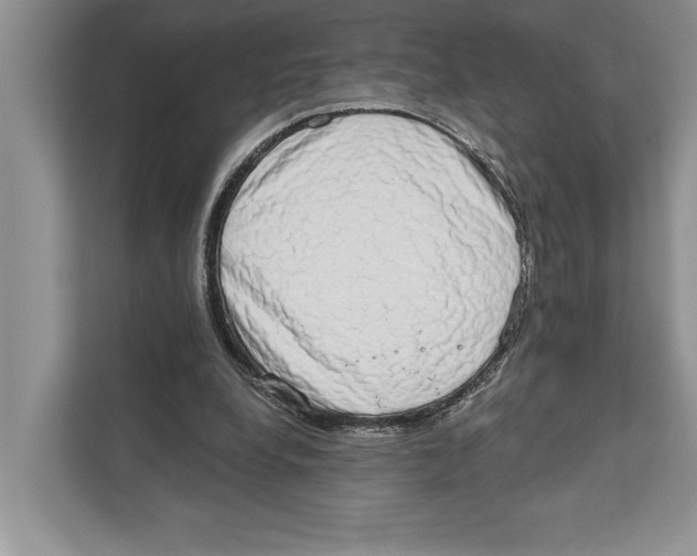X0000110860248200907091346