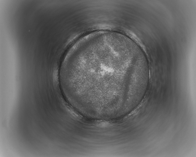 X0000110860249200907091346