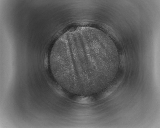 X0000110860267200907091346