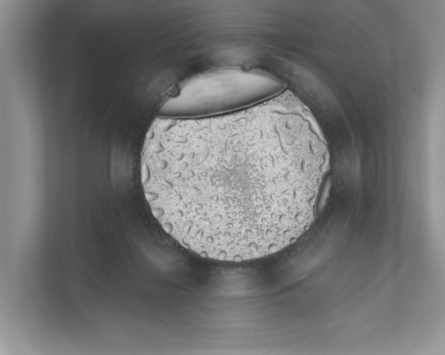X0000110860268200907091346