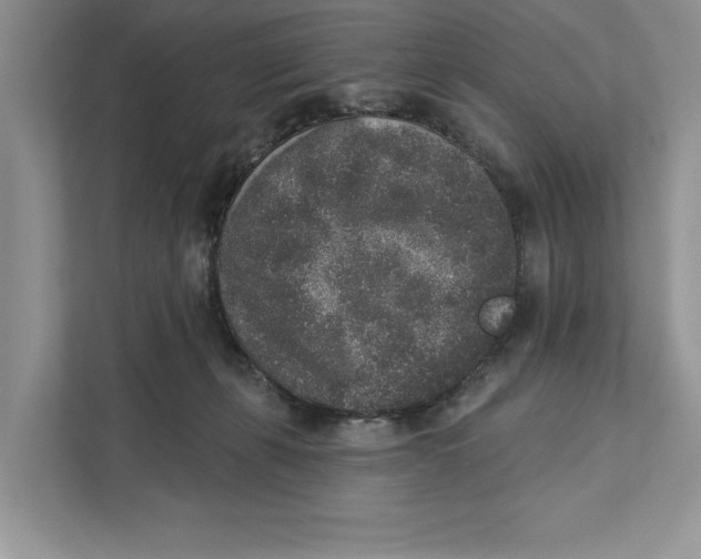 X0000110860271200907091346