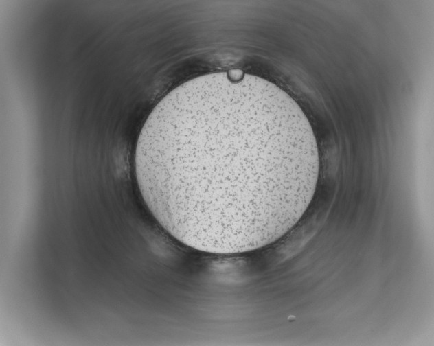X0000110860274200907091346