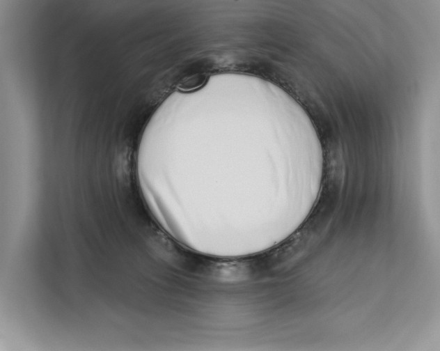 X0000110860275200907091346