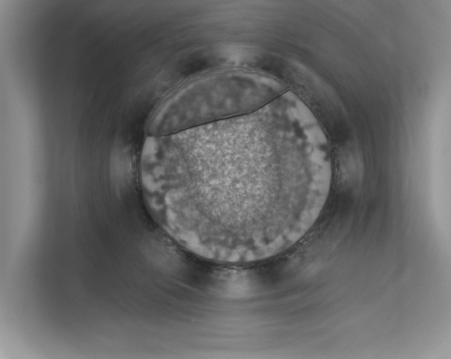X0000110860276200907091346