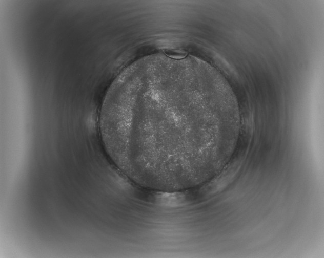 X0000110860277200907091346
