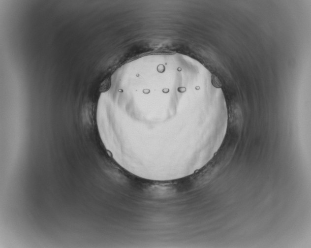 X0000110860280200907091346