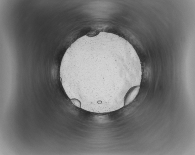 X0000110860283200907091346