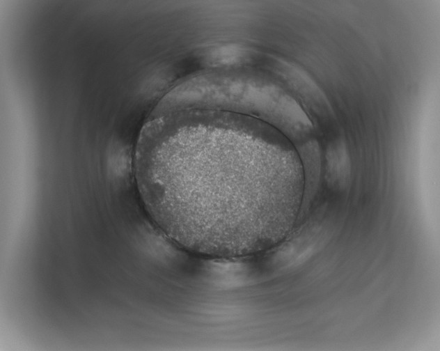 X0000110860284200907091346