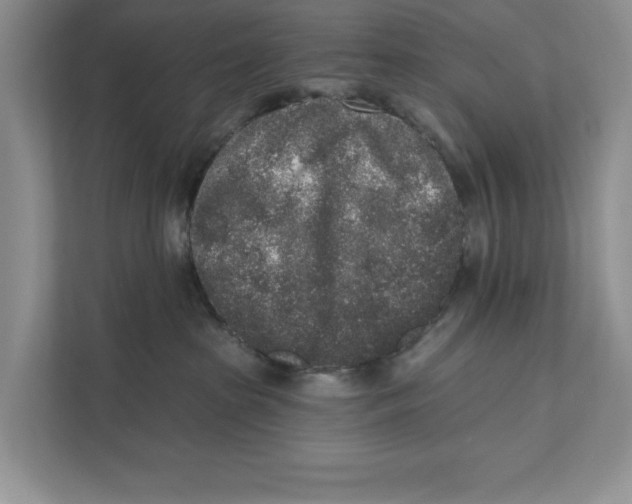 X0000110860285200907091346