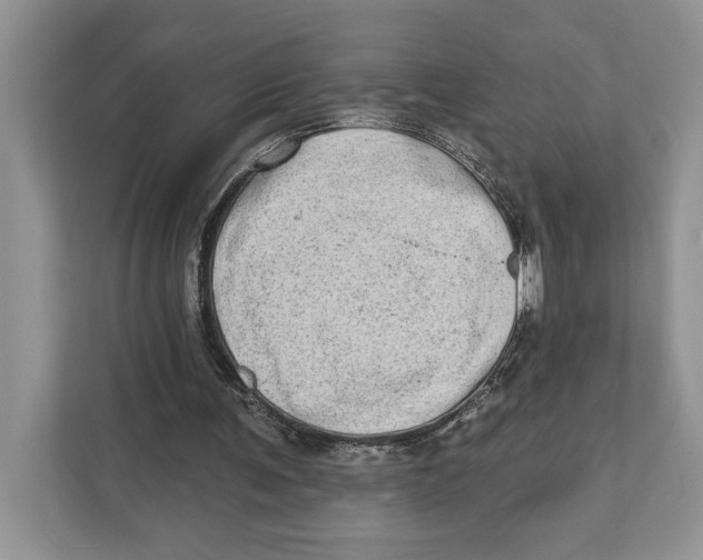 X0000110860291200907091346