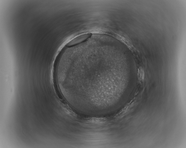 X0000110860292200907091346