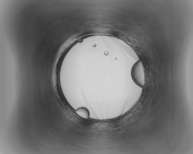 X0000110860294200907091346