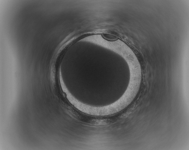 X0000110860295200907091346