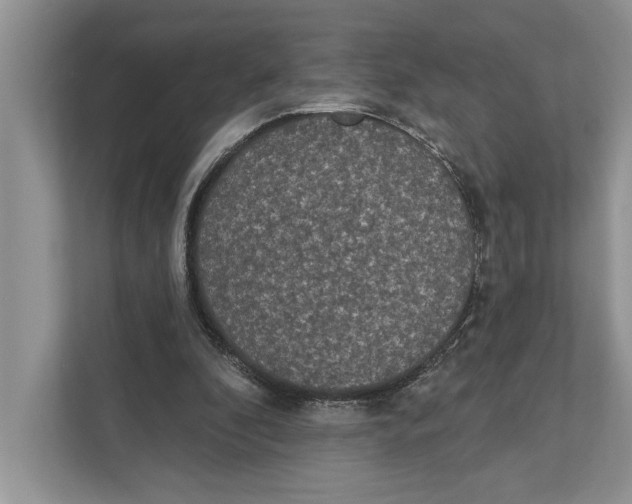 X0000110860296200907091346