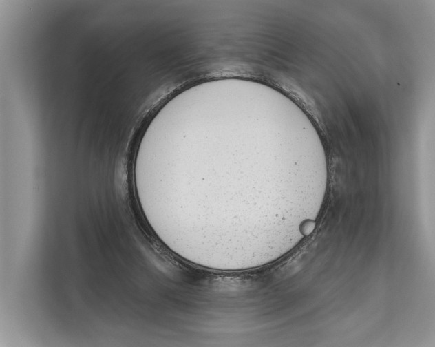 X0000110860298200907091346