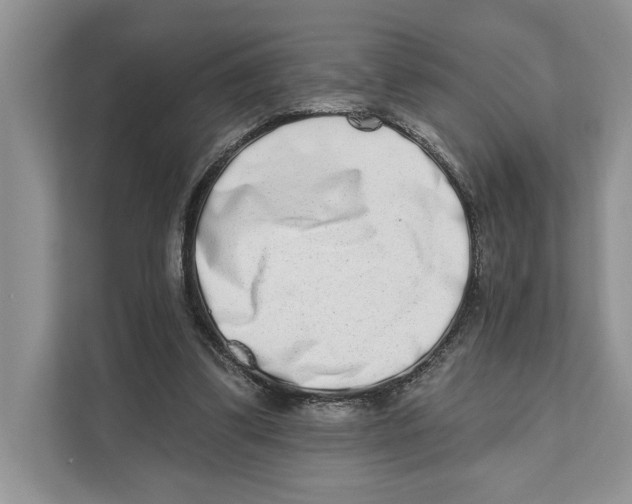 X0000110860299200907091346