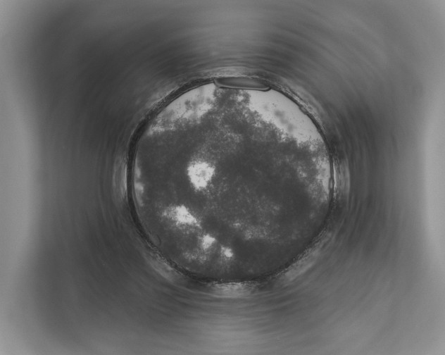 X0000110860301200907091346