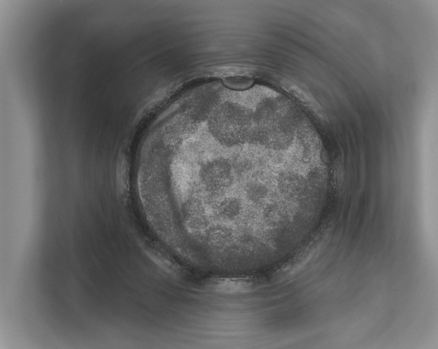 X0000110860303200907091346
