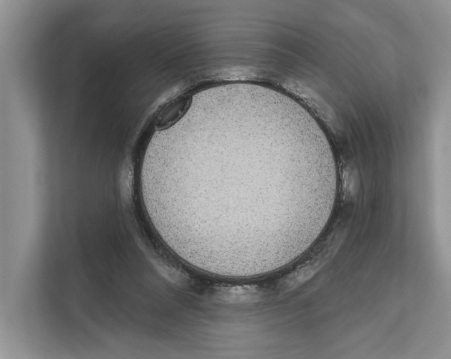 X0000110860304200907091346