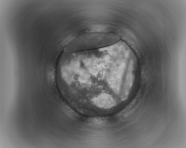 X0000110860305200907091346
